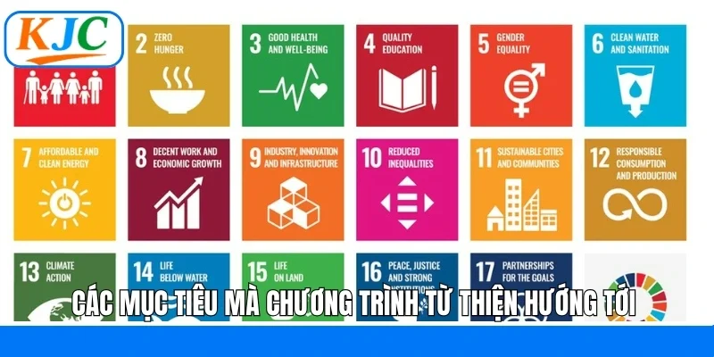 Các mục tiêu mà chương trình từ thiện hướng tới